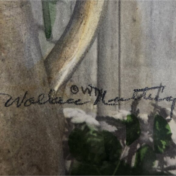 Wallace Nutting Floral Print - A Dahlia Jar - Signed & Original Label Framed - Picture 2 of 4